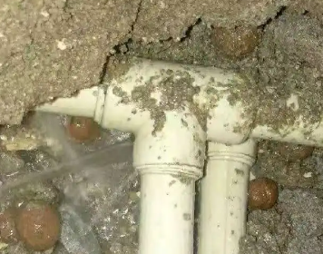 美溪测漏水多少钱