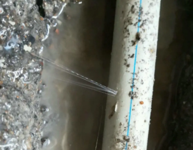 美溪测漏水哪家好