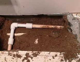 美溪测漏水哪家好