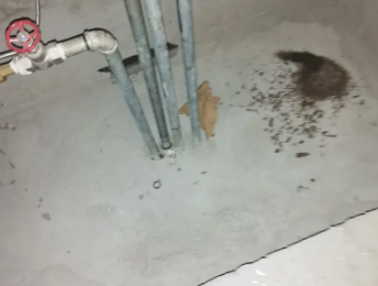 美溪卫生间测漏水价格明细